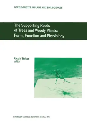 Stokes |  The Supporting Roots of Trees and Woody Plants: Form, Function and Physiology | Buch |  Sack Fachmedien