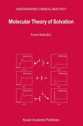 Hirata |  Molecular Theory of Solvation | Buch |  Sack Fachmedien