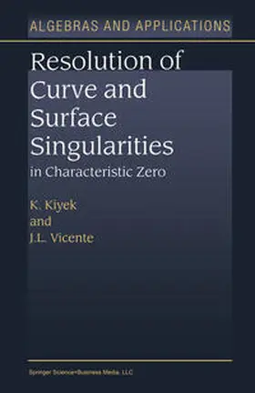 Vicente / Kiyek |  Resolution of Curve and Surface Singularities in Characteristic Zero | Buch |  Sack Fachmedien