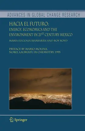 Boyd / Ibarrarán |  Hacia el Futuro | Buch |  Sack Fachmedien