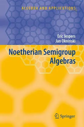 Okninski / Jespers |  Noetherian Semigroup Algebras | Buch |  Sack Fachmedien