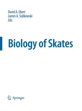 Sulikowski / Ebert |  Biology of Skates | Buch |  Sack Fachmedien