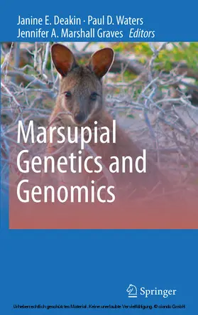 Waters / Deakin / Marshall Graves | Marsupial Genetics and Genomics | E-Book | sack.de