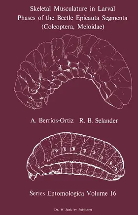 Berrios-Ortiz / Selander |  Skeletal Musculature in Larval Phases of the Beetle Epicauta Segmenta (Coleoptera, Meloidae) | Buch |  Sack Fachmedien