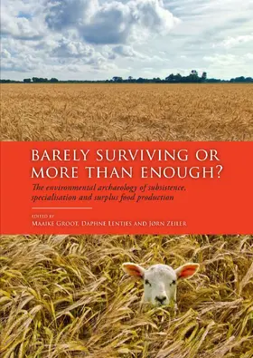 Groot / Lentjes / Zeiler |  Barely Surviving or More than Enough? | Buch |  Sack Fachmedien