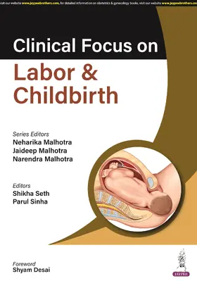 Malhotra / Sinha / Seth |  Clinical Focus on Labor & Childbirth | Buch |  Sack Fachmedien