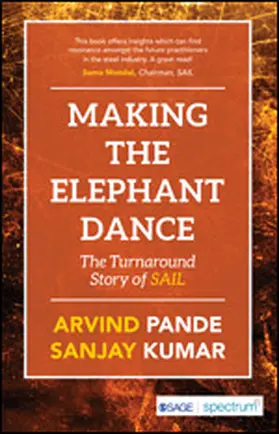 Pande / Kumar |  Making the Elephant Dance | Buch |  Sack Fachmedien