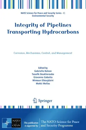 Bolzon / Boukharouba / Mellas |  Integrity of Pipelines Transporting Hydrocarbons | Buch |  Sack Fachmedien