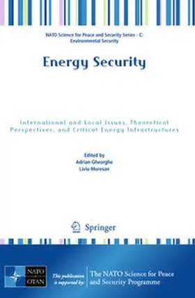 Gheorghe / Muresan |  Energy Security | eBook | Sack Fachmedien