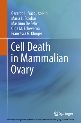 Vázquez-Nin / Escobar / De Felici |  Cell Death in Mammalian Ovary | eBook | Sack Fachmedien