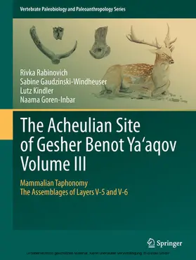 Rabinovich / Gaudzinski-Windheuser / Kindler |  The Acheulian Site of Gesher Benot Ya‘aqov Volume III | eBook | Sack Fachmedien