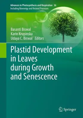Biswal / Krupinska |  Plastid Development in Leaves during Growth and Senescence | Buch |  Sack Fachmedien