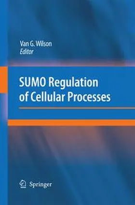 Wilson | SUMO Regulation of Cellular Processes | Buch | 978-94-007-9144-2 | sack.de