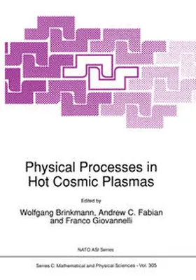Brinkmann / Fabian / Giovannelli | Physical Processes in Hot Cosmic Plasmas | E-Book | sack.de