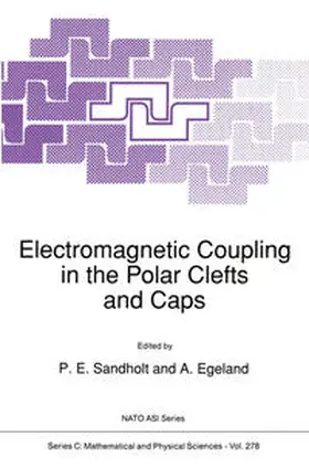 Sandholt / Egeland |  Electromagnetic Coupling in the Polar Clefts and Caps | eBook | Sack Fachmedien