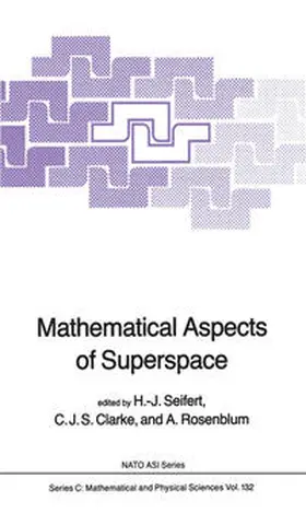 Seifert / Clarke / Rosenblum |  Mathematical Aspects of Superspace | eBook | Sack Fachmedien