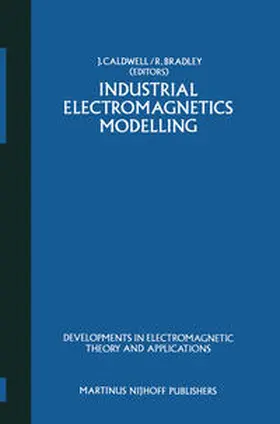Caldwell / Bradley |  Industrial Electromagnetics Modelling | eBook | Sack Fachmedien