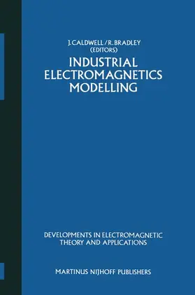 Bradley / Caldwell |  Industrial Electromagnetics Modelling | Buch |  Sack Fachmedien