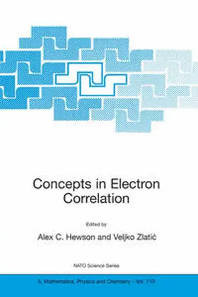 Hewson / Zlatic | Concepts in Electron Correlation | E-Book | sack.de