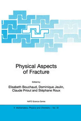 Bouchaud / Jeulin / Prioul |  Physical Aspects of Fracture | eBook | Sack Fachmedien