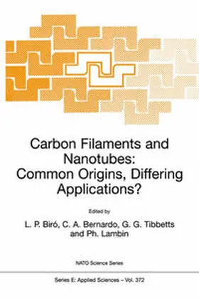 Biró / Bernardo / Tibbetts |  Carbon Filaments and Nanotubes: Common Origins, Differing Applications? | eBook | Sack Fachmedien