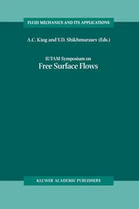 King / Shikhmurzaev |  IUTAM Symposium on Free Surface Flows | eBook | Sack Fachmedien