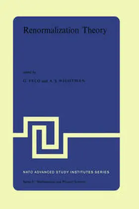 Velo / Wightman |  Renormalization Theory | eBook | Sack Fachmedien