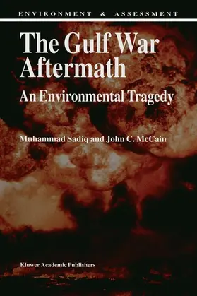 Sadiq / McCain |  The Gulf War Aftermath | Buch |  Sack Fachmedien
