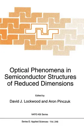 Pinczuk / Lockwood | Optical Phenomena in Semiconductor Structures of Reduced Dimensions | Buch | 978-94-010-4845-3 | sack.de