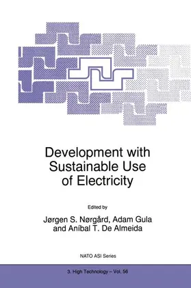 Nørgård / Gula / de Almeida |  Development with Sustainable Use of Electricity | Buch |  Sack Fachmedien