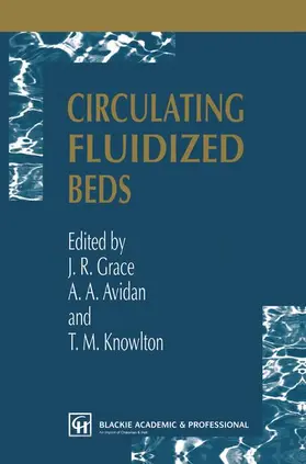 Grace / Avidan / Knowlton |  Circulating Fluidized Beds | Buch |  Sack Fachmedien