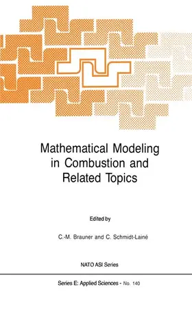 Schmidt-Lainé / Brauner | Mathematical Modeling in Combustion and Related Topics | Buch | 978-94-010-7745-3 | sack.de