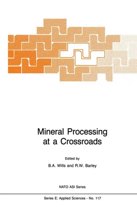 Barley / Wills | Mineral Processing at a Crossroads | Buch | 978-94-010-8493-2 | sack.de