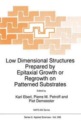 Eberl / Petroff / Demeester |  Low Dimensional Structures Prepared by Epitaxial Growth or Regrowth on Patterned Substrates | eBook | Sack Fachmedien