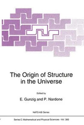 Gunzig / Nardone | The Origin of Structure in the Universe | E-Book | sack.de