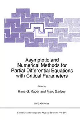 Kaper / Garbey |  Asymptotic and Numerical Methods for Partial Differential Equations with Critical Parameters | eBook | Sack Fachmedien