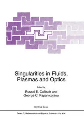 Caflisch / Papanicolaou |  Singularities in Fluids, Plasmas and Optics | eBook | Sack Fachmedien