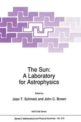Schmelz / Brown | The Sun: A Laboratory for Astrophysics | E-Book | sack.de