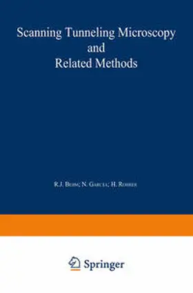 Behm / García / Rohrer | Scanning Tunneling Microscopy and Related Methods | E-Book | sack.de