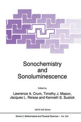 Crum / Mason / Reisse |  Sonochemistry and Sonoluminescence | eBook | Sack Fachmedien