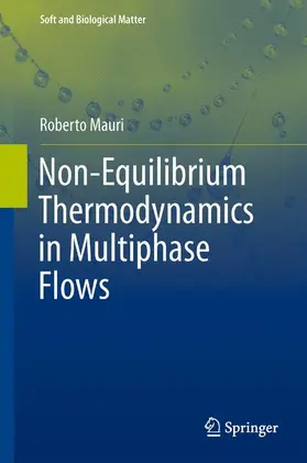 Mauri |  Non-Equilibrium Thermodynamics in Multiphase Flows | Buch |  Sack Fachmedien