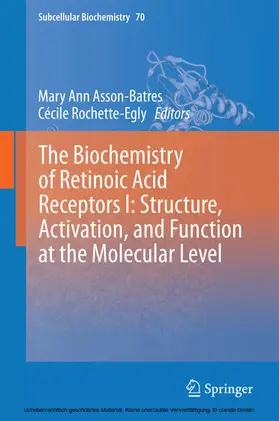 Asson-Batres / Rochette-Egly |  The Biochemistry of Retinoic Acid Receptors I: Structure, Activation, and Function at the Molecular Level | eBook | Sack Fachmedien