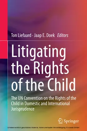 Liefaard / Doek |  Litigating the Rights of the Child | eBook | Sack Fachmedien