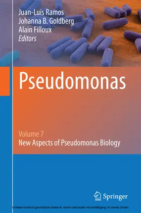 Ramos / Goldberg / Filloux |  Pseudomonas | eBook | Sack Fachmedien