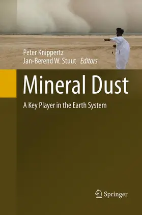 Stuut / Knippertz |  Mineral Dust | Buch |  Sack Fachmedien
