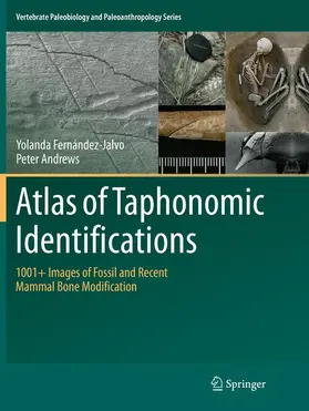 Fernandez-Jalvo / Andrews |  Atlas of Taphonomic Identifications | Buch |  Sack Fachmedien