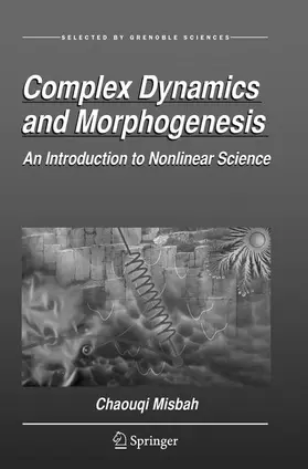 Misbah |  Complex Dynamics and Morphogenesis | Buch |  Sack Fachmedien