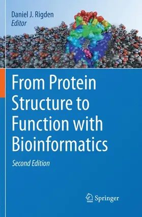 J. Rigden | From Protein Structure to Function with Bioinformatics | Buch | 978-94-024-1482-0 | www2.sack.de