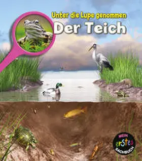 Spilsbury |  Der Teich | Buch |  Sack Fachmedien