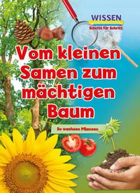 Owen |  Vom kleinen Samen zum mächtigen Baum | Buch |  Sack Fachmedien
